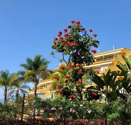 Tigaiga Puerto de la Cruz (Tenerife)
